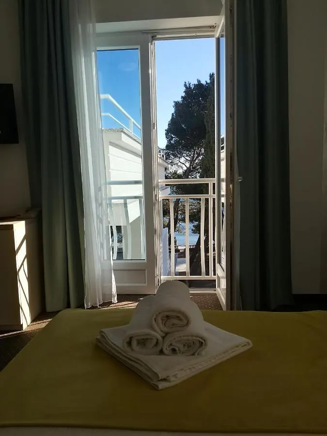 Hotel Bor